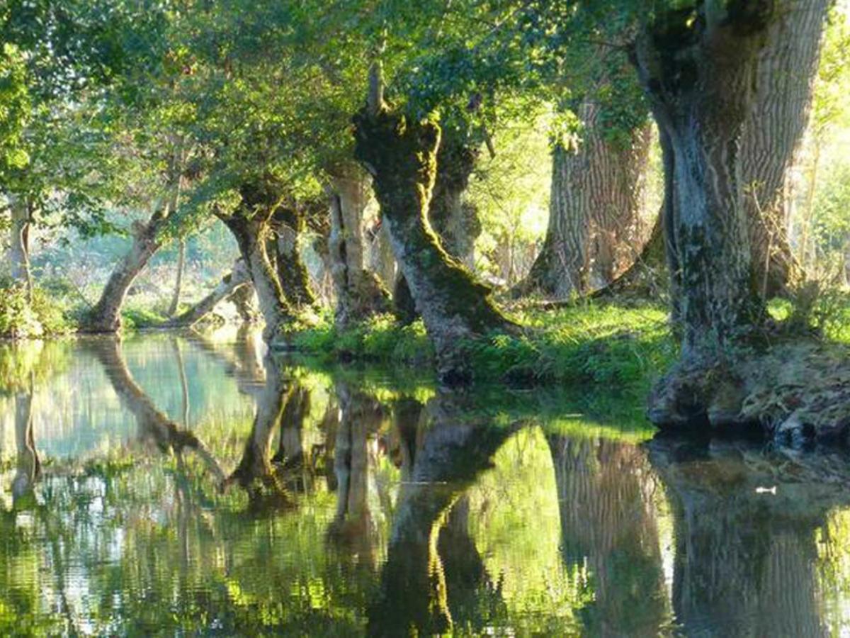 La Laujere Ivie - Gite & Piscine Privative Saint-Hilaire-du-Bois  Экстерьер фото